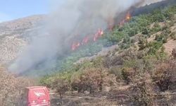 Malatya'da orman yangını 