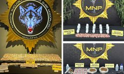 Malatya'da "torbacı" operasyonu: 9 tutuklama