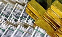 Merkez Bankası rezervleri 176,3 milyar dolara geriledi