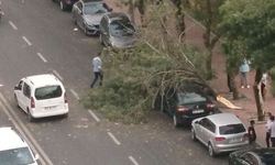 Meteoroloji'den kuvvetli rüzgâr uyarısı