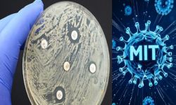 MIT’den yapay zekâ destekli yeni antibiyotikler