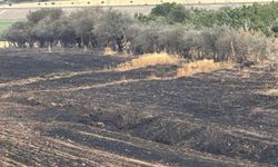 Orman ve anız yangınları için meteorolojik risk uyarısı