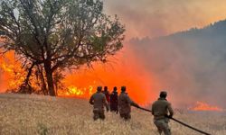 Orman yangını riskine karşı önlemler artırıldı
