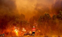 Portekiz'de orman yangını: 1 ölü, 1 yaralı 