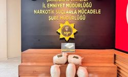 Şanlıurfa'da 7.5 kilogram skunk ele geçirildi: 1 tutuklama