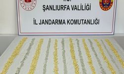 Şanlıurfa’da jandarma ve MİT’ten uyuşturucu operasyonu