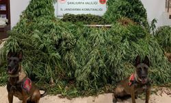 Şanlıurfa'da uyuşturucu operasyonunda 2 kişi gözaltına alındı