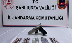 Şanlıurfa'da uyuşturucu ve silah operasyonu: 15 gözaltı