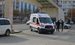 Siirt’te yolun karşısına geçmek isteyen kadına araç çarptı