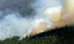 Şırnak’ta örtü yangını