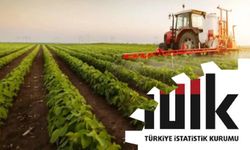 Tarım üretici enflasyonu temmuzda aylık bazda düştü