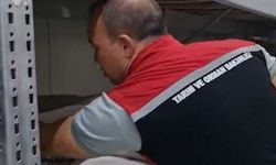 Tarım ve Orman Bakanlığı, İzmir'de yaklaşık iki bin ton süt ürününe el koydu