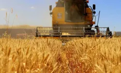 TMO’nun ithalat yoluyla tarım ürünü alımına dair usul ve esaslar belirlendi