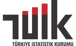 TÜİK, 9 sözleşmeli bilişim personeli alacak