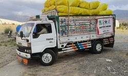 4 kardeş yardım kuruluşu Afganistan'da depremzedelerin yardımına koştu