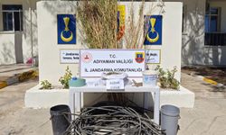 Adıyaman'da uyuşturucu operasyonu: Bir gözaltı