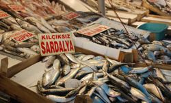 Akdeniz'de balık sezonu bereketiyle başladı