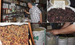 Aktar Yağmurcu: Mevsim geçişlerinde bağışıklığı güçlendirmek için şifalı bitkiler kullanılmalı