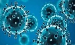 Almanya’da yeni Koronavirüs yayılıyor