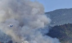Antalya Kemer'de orman yangını