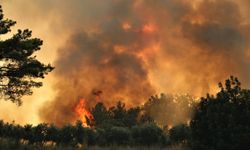 Antalya'da orman yangını 