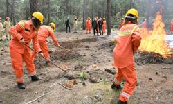 Bakan Yumaklı: Orman gönüllüleri, AFAD ve Kızılay gönüllüleri ile aynı haklardan faydalanacak