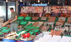 Balıkçılar henüz umduğunu bulamadı