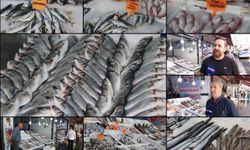 Balıkçılarda çeşit artınca vatandaşın talebi de arttı