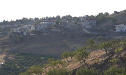 Batman'da bu köyün geliri incirden sağlanıyor