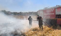 Batman'da mısır tarlasında anız yangını: 20 dönüm alan kül oldu