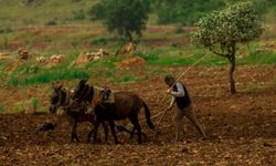 Batmanlı çiftçi girdi maliyetlerinden endişeli