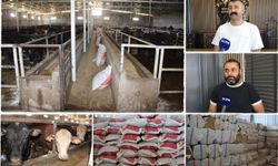 Besiciler: Artan maliyetler üretimi tehdit ediyor