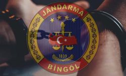 Bingöl’de aranan şahıs yakalandı