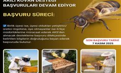 Bingöl’de arılı kovan desteği başvuruları devam ediyor