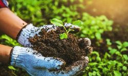 Bingöl’de "Organik Tarım" kursu başvuruları başladı