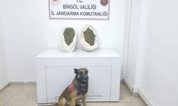 Bingöl’de uyuşturucu operasyonu: 1 tutuklama
