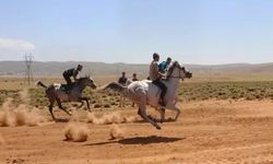 Bingöl’ün Karlıova ilçesinde at yarışları için geri sayım başladı