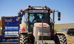 Bitlis'in söz sahibi olduğu kuru fasulyenin hasadı başladı