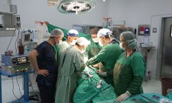 Böbrek korunarak 3 santimetrelik tümör alındı