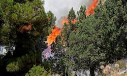 Burdur'da orman yangını 
