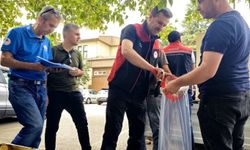 Bursa’da göl ve göletlere 2 milyon sazan balığı yavrusu bırakılacak