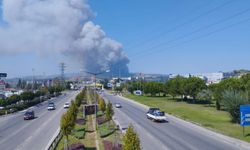 Bursa'da orman yangını: Havadan ve karadan müdahale sürüyor