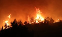 Bursa’da ormanlık alanda yangın çıktı