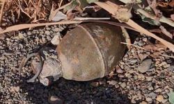 Bursa’da patlamamış el bombası bulundu