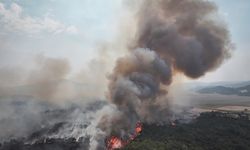 Çanakkale'de orman yangını