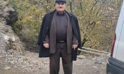 Ceviz silkelemek için çıktığı ağaçtan düşen adam hayatını kaybetti