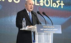 Cezayir cumhurbaşkanı yeni hükümeti atadı