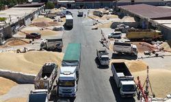 Çiftçiler sezondan memnun değil!