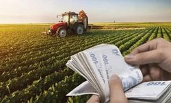 Çiftçilere 4,5 milyar liralık destek ödemesi başladı