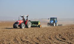 Çiftçilere ÇKS uyarısı: Aynı ürün üçüncü kez ekilirse destek kesilecek